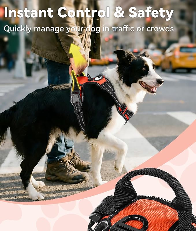 Joytale No Pull Dog Harness Medium Sized Dog, Front Clip, Orange | Grab Handle for Instant Control, Padded & Adjustable Vest, Sturdy Metal D-Rings, for Safe Training & Daily Walking