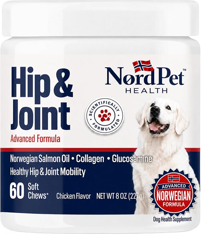 Hip & Joint Supplement for Dogs | Norwegian Salmon Oil, Glucosamine, Chondroitin, MSM, Green Lipped Mussel, Collagen | Mobility Soft Chews for Small, Medium & Large Dogs, 60 Count