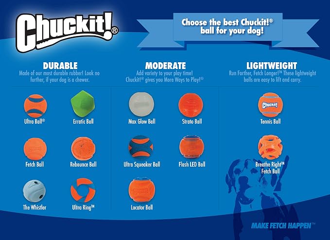 Chuckit! Rebounce Ball Dog Toy, Medium 2.5 Inch, for Dogs 20-60 lbs, Blue, (Pack of 12)