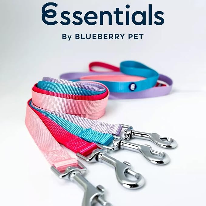 Blueberry Pet Essentials Verdant Green Dog Leash for Small -5' * 5/8" Dogs | Heavy Duty Nylon Lead | Lightweight Puppy & Cat Leash for Walking & Training