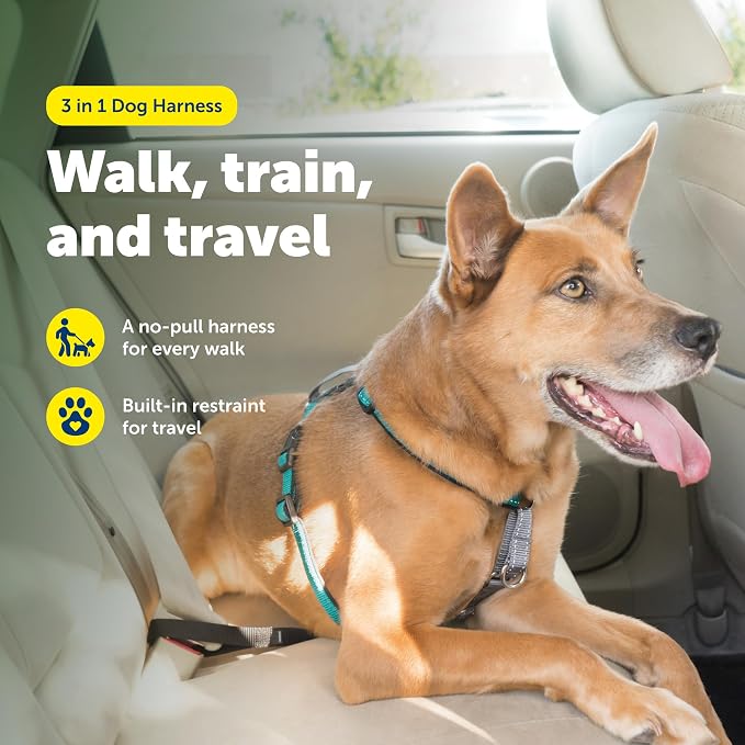 PetSafe 3 in 1 No-Pull Dog Harness - Walk, Train or Travel - Helps Prevent Pets from Pulling on Walks - Seatbelt Loop Doubles as Quick Access Handle - Reflective Accents - Medium, Teal | Rests on Chest Not Throat to Reduce Pulling, 5 Adjustment Points,...