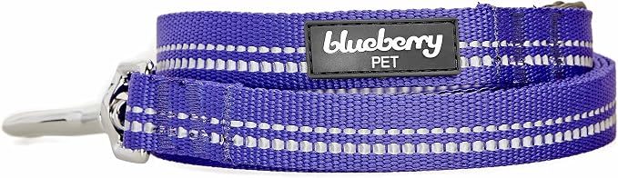 Blueberry Pet 3M Reflective Pastel Color Dog Leash with Soft & Comfortable Handle, 4 ft x 1", Violet, Large, Leashes for Dogs