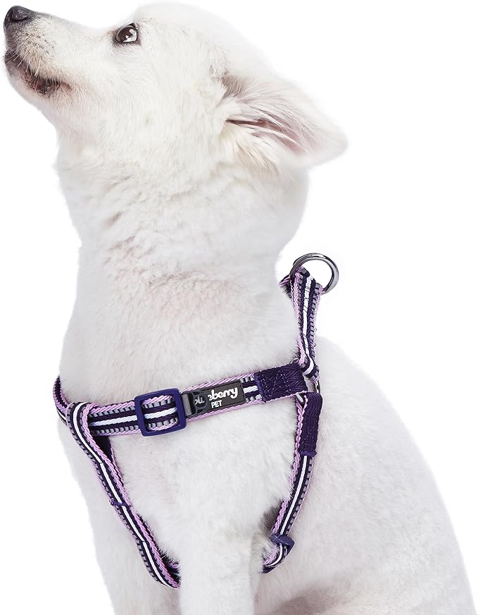 Blueberry Pet 5 Colors Step-in 3M Reflective Multi-Colored Stripe Padded Dog Harness, Chest Girth 20" - 26", Orchid & Lavender, Medium, Adjustable Harnesses for Dogs