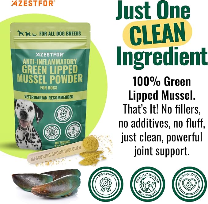 Azestfor Anti-Inflammatory Green Lipped Mussel for Dogs Powder