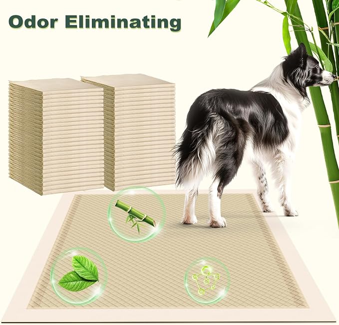 MIZOK Dog Pads Extra Large 36x36in Pee Pads for Dogs Bamboo Odor Eliminating, Dog Pee Pads XL 11 Cups Super Absorbent 6-Layer Leak-Proof Puppy Pads with Adhesive Stickers, Disposable (60 Counts)