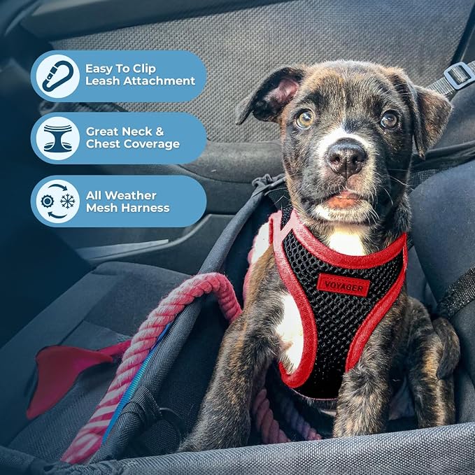 Voyager Step-in Air Dog Vest Harness - Black/Red Trim, X-Small | 13 - 14.5" in Chest, Reflective Bands, All Weather Breathable Air Mesh, Cats Compatible, Lightweight, Fast Drying