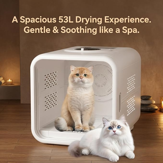 Pet Dryer Box Cat Dryer Small Dog, Petting Window Physical Button