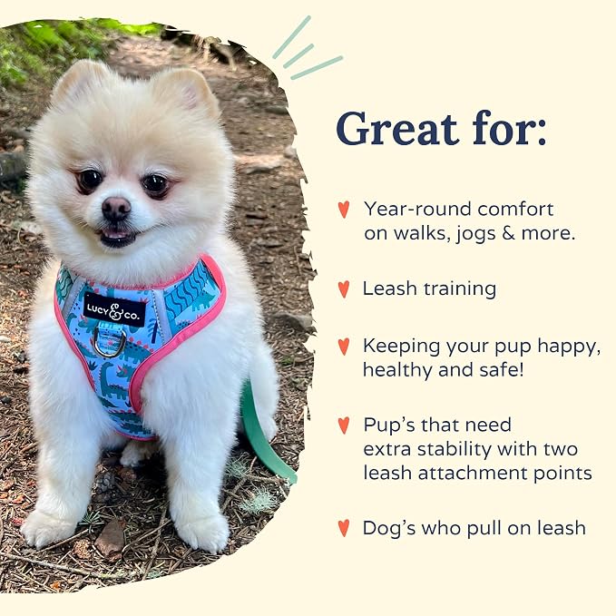 Lucy & Co. Cute No-Pull DinoROAR! Harness - Stop Pulling & Walk Easy - Harness Available in XS-XL for Small, Medium, and Large Dogs - DinoROAR! (Medium)