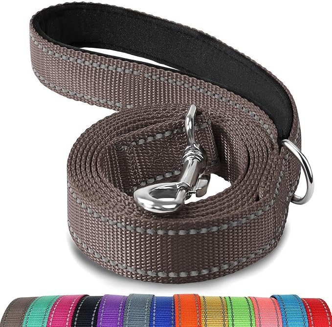 Joytale Reflective Dog Leash for Small Dogs, 5 FT x 3/4", Brown | Heavy Duty Nylon Webbing, Padded Handle for Comfort, Visible at Night, for Walking & Training