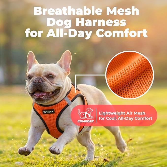 Voyager Step-in Air Dog Vest Harness - Orange/Black Trim, Small | 14.5-16" in Chest, Reflective Bands, All Weather Breathable Air Mesh, Cats Compatible, Lightweight, Fast Drying