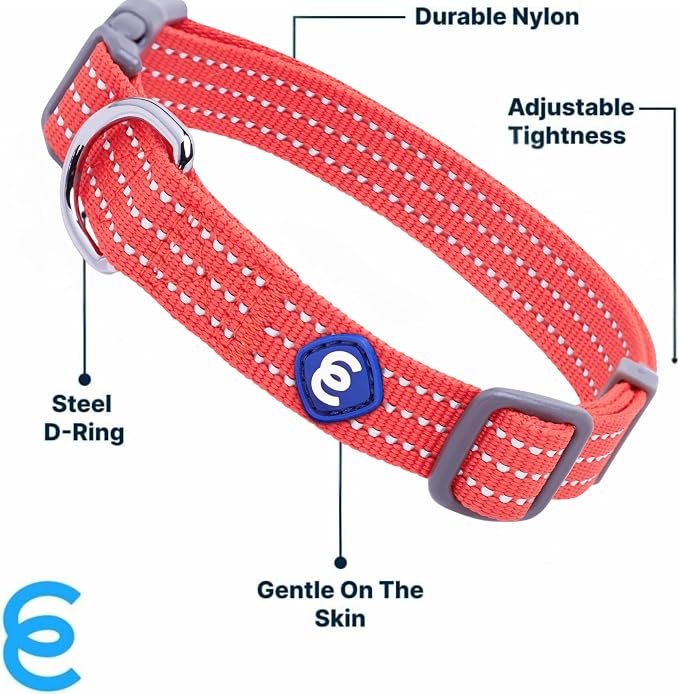 Blueberry Pet Dog Collar, Dog Harness, Dog Leash Set - Puppy Harness and Leash Set for Training - Small Size, 12-16 Inch Neck, 17.5-21 Inch Chest, Reflective, Eco-Friendly, Award Winning
