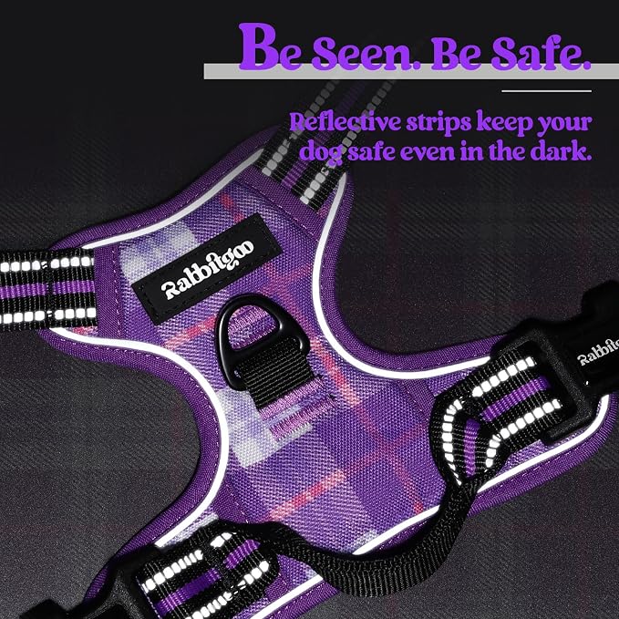 rabbitgoo Dog Harness, No Pull Medium Sized with 2 Leash Clips, Pet Vest | No Choke with Handle, Adjustable Soft Padded, Reflective, Easy Control for Walking, Purple Plaid, Medium