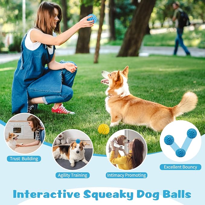 HIPPIH Indestructible Squeaky Dog Toys, Interactive Dog Balls 2 Pack | Chew Toys for Aggressive Chewers, Natural Rubber, Large/Medium Dogs, Tough Puppy Teething Toy, Relieve Anxiety