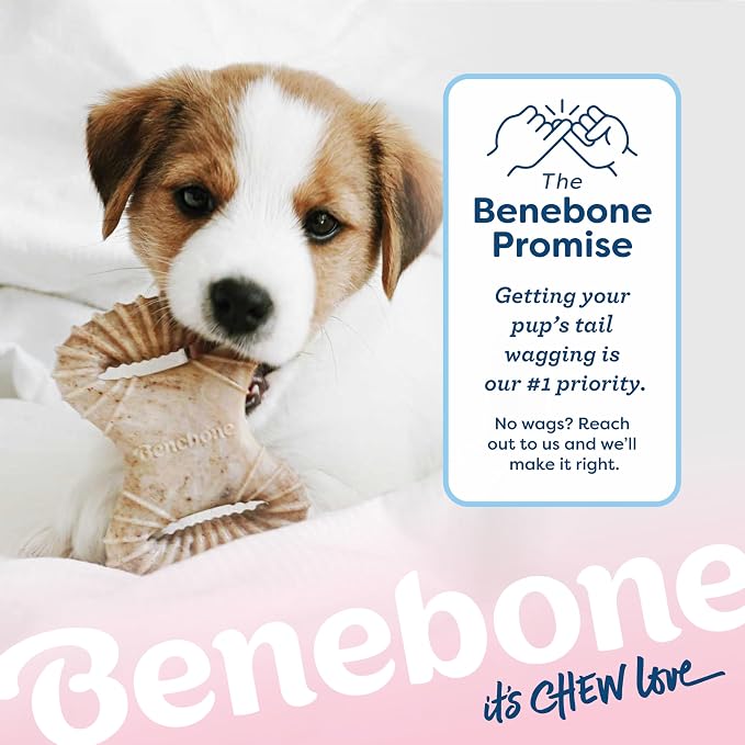 Benebone Puppy 2-Pack Dental Chew/Wishbone Dog Chew Toys, Real Bacon, Small | Durable, Made in USA, Dog Bones, Puppy Toys, Puppy Teething Toys, Long-Lasting, Keeps Them Busy