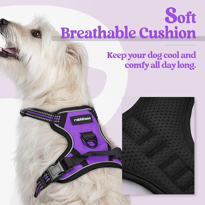 rabbitgoo Dog Harness No Pull with 2 Leash Clips, Adjustable Soft Padded, Reflective Oxford No Choke Pet Vest with Easy Control Handle for Puppy, Purple,XS | No Choke with Handle, Adjustable Soft Padded, Reflective, Easy Control for Walking, Purple, X-...