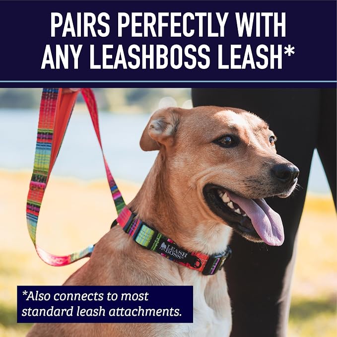 Leash Boss Martingale Collar for Dogs - Steel Chain | Reflective Nylon Dog Collar for Large Dogs, Medium and Small Dogs | No Pull Pet Training Collar Small