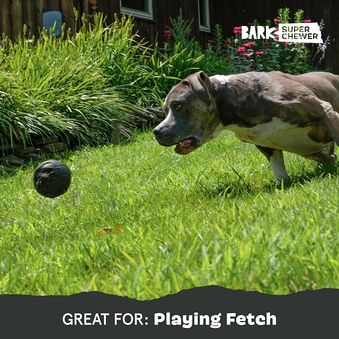 BarkBox Comet Super Chewer - Toy for Small Dogs | Durable Dog Toy for Aggressive Chewers - Treat Dispensing Chew