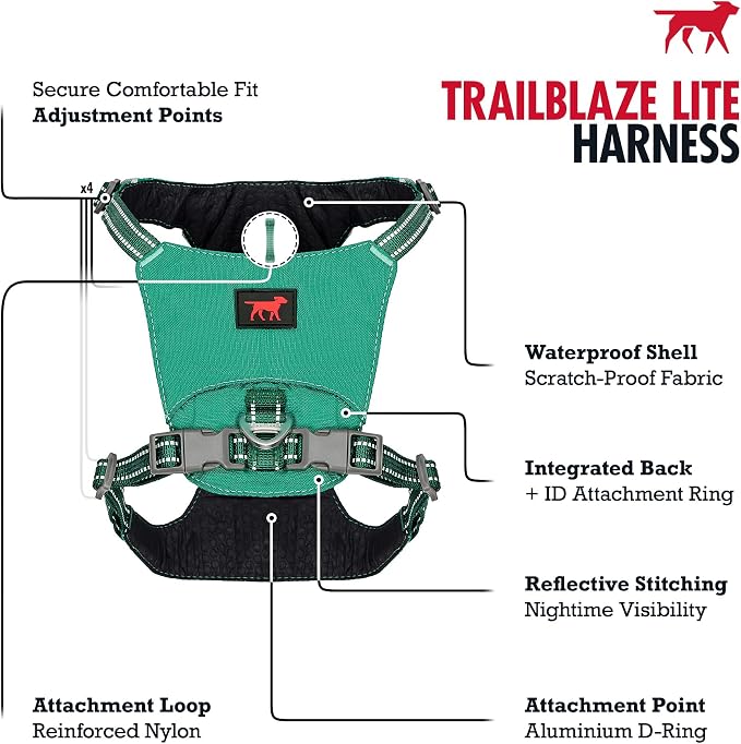 Tuff Pupper All-Day Wear Dog Harness | for Walking, Trail Running, Hiking | Front & Back Leash Clips | Reflective Trim | Easy On/Off Buckles | Lightweight Breathable | No Pull Design (L/XL, Teal)