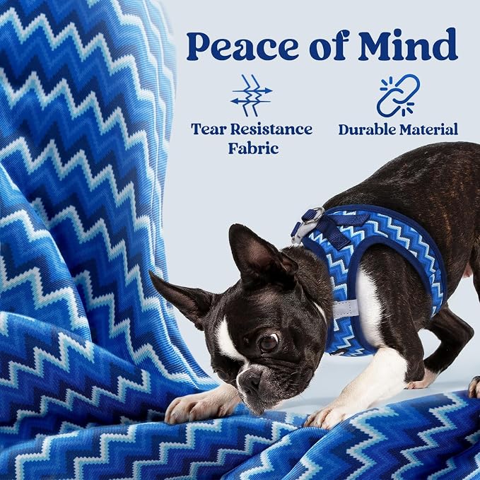 rabbitgoo Step-in Small Dog Harness, Puppy Vest for Small Sized Pet | Easy Put on and off, Lightweight, Soft, Breathable Quick-Dry Air Mesh for Comfortable Secure Walking, Blue Zigzag M
