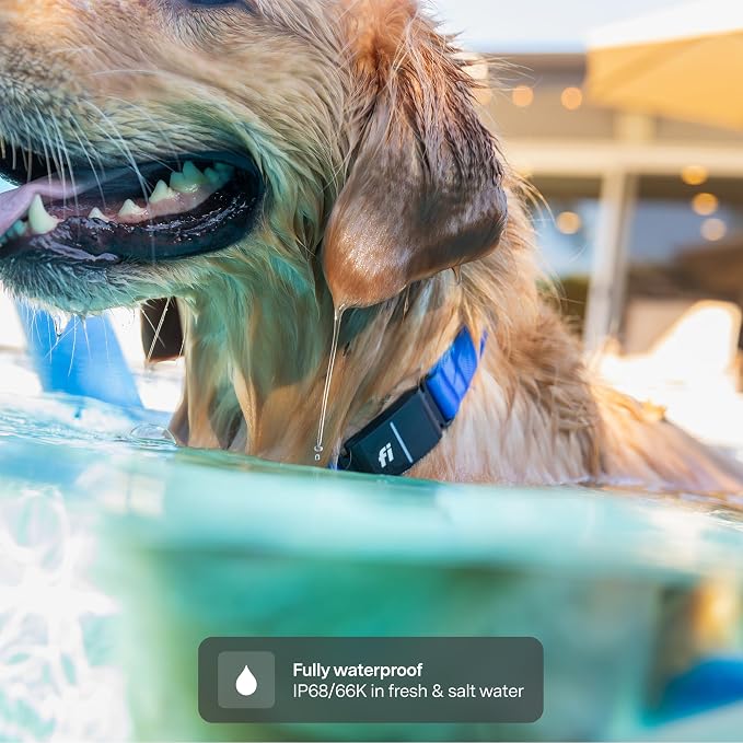 Fi Series 3+ GPS + Health Dog Collar, Pink, X-Small, 12-Month Membership | Smart GPS dog collar with live tracking, health & behavior, Escape Alerts, LED light. Waterproof and Apple Watch compatible.