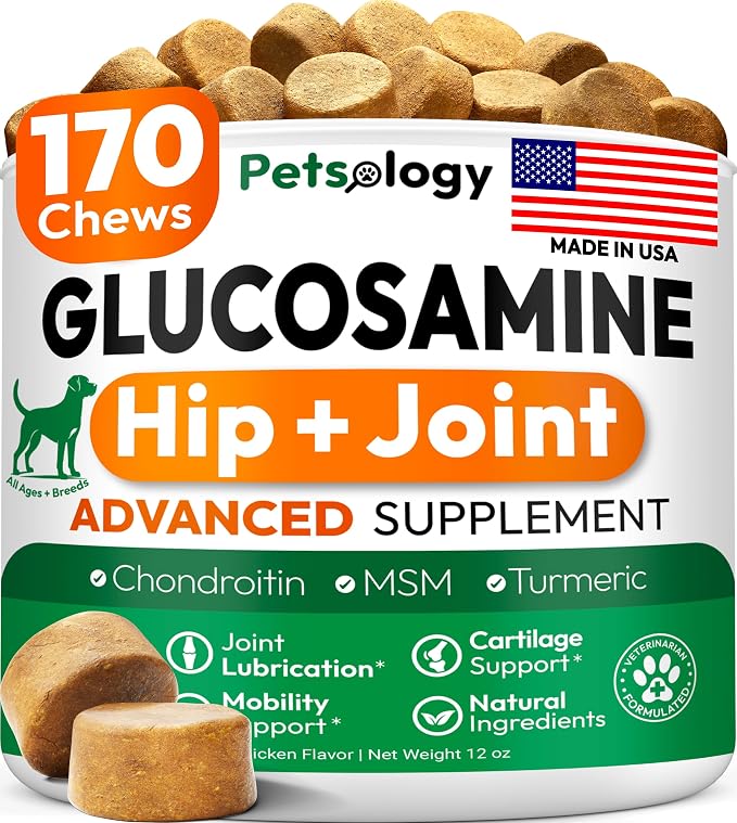 Glucosamine for Dogs, 170 Chews, Hip and Joint Supplement for Dogs | Glucosamine Chondroitin for Mobility - MSM & Turmeric - Joint Pain Relief - Advanced Joint Support for Dogs - Made in USA