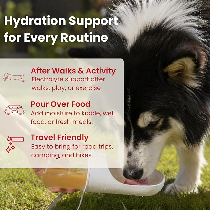 Electrolytes for Dogs with Protein – Hydration & Mobility Support with Collagen – Made with Real Beef Bone Broth – Dog Food Topper for Picky Eaters – 14 Sticks