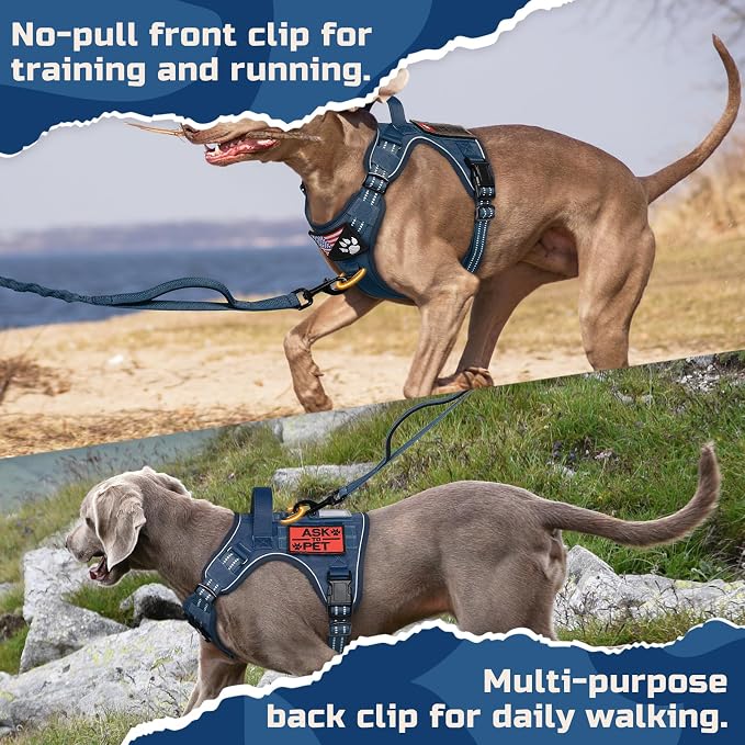 rabbitgoo Tactical Dog Harness for X-Large, No Pull Military Service Vest | Molle & Handle, Heavy Duty, Adjustable, Reflective Straps, Easy Control for Training Walking, Blue, X-Large