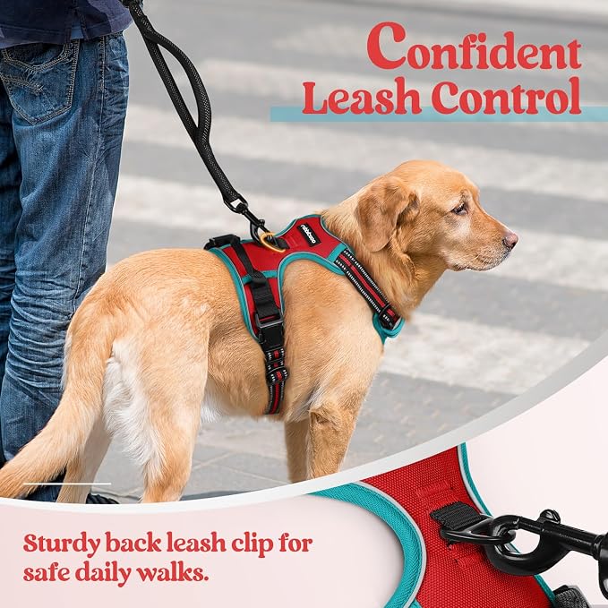rabbitgoo Dog Harness, No Pull for Large Dogs with 2 Leash Clips, Pet Vest | No Choke with Handle, Adjustable Soft Padded, Reflective, Easy Control for Walking, Red & Teal, X-Large