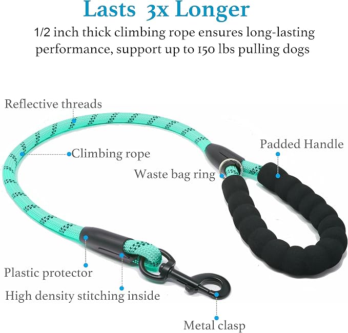 iYoShop Double Dog Leash, 360° Swivel, No Tangle, Large, 25-150 lbs, Teal | Dual Leash for Two Dogs, Split Leash, Shock-Absorbing Bungee, Padded Handle, Heavy-Duty Rope