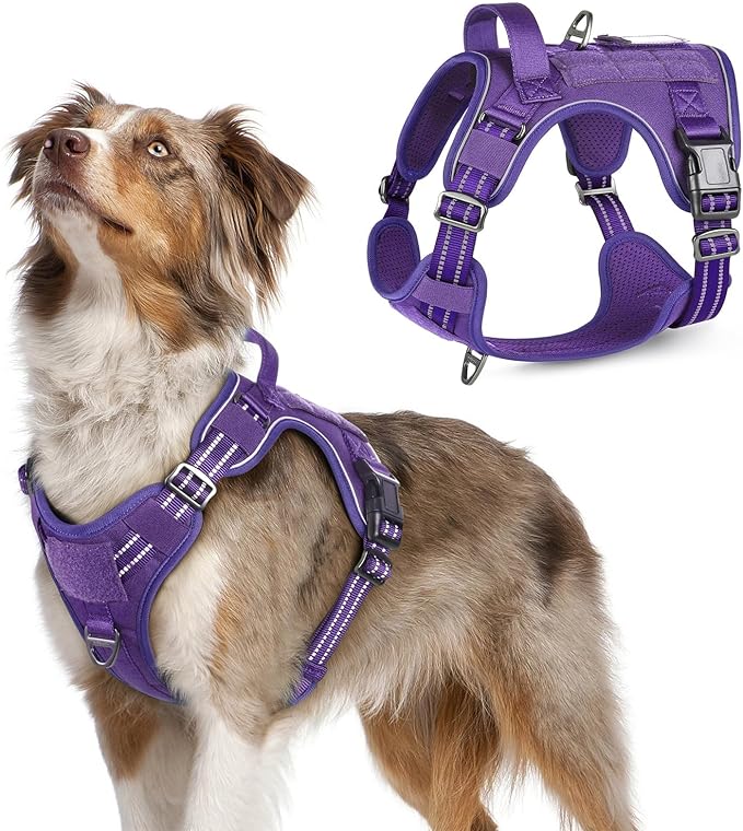 rabbitgoo Tactical Dog Harness for Medium, No Pull Military Service Vest | Molle & Handle, Heavy Duty, Adjustable, Reflective Straps, Easy Control for Training Walking, Purple, Medium