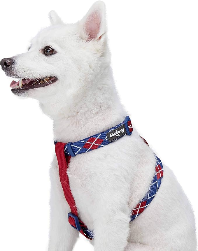 Blueberry Pet Scottish Argyle Dog Harness, Royal Blue, Small, Adjustable Harnesses for Dogs