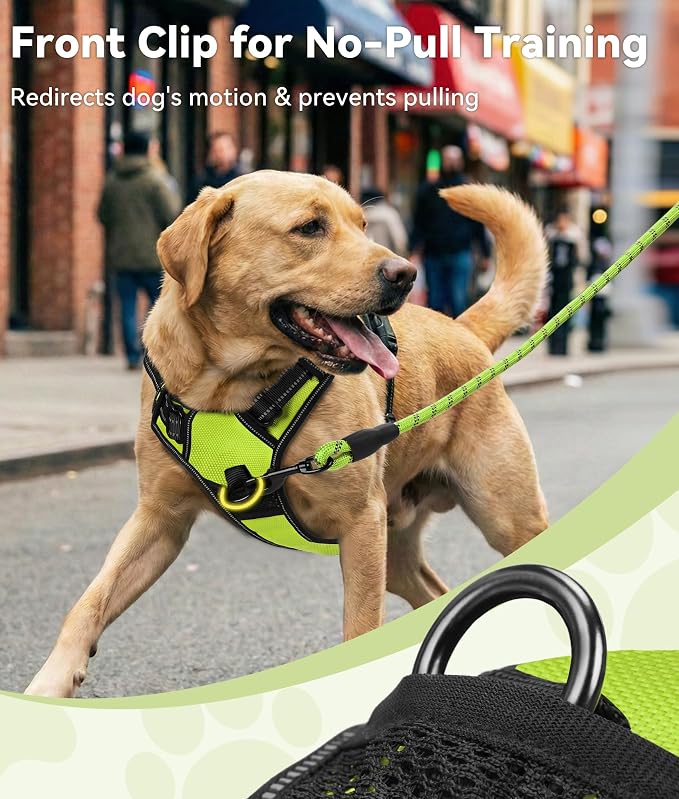 Joytale No Pull Dog Harness for Small Dogs, Front Clip, Green | Grab Handle for Instant Control, Padded & Adjustable Vest, Sturdy Metal D-Rings, for Safe Training & Daily Walking