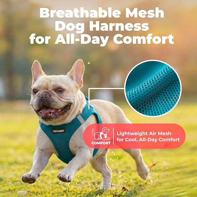 Voyager Step-in Air Dog Vest Harness - Turquoise, Medium | 16 - 18" in Chest, Reflective Bands, All Weather Breathable Air Mesh, Cats Compatible, Lightweight, Fast Drying