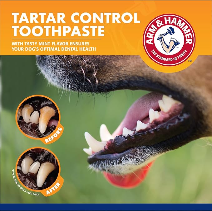 Arm & Hammer Dog Dental Care Fresh Breath Kit, Mint Flavor, 3-Pieces | Includes baking soda toothpaste and toothbrush, for plaque removal, daily dental care routine, dogs, mint