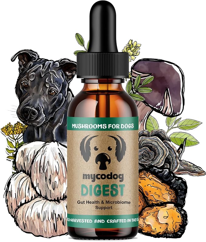 MycoDog Digest, Digestive Mushroom Supplement for Dogs for Healthy Poop