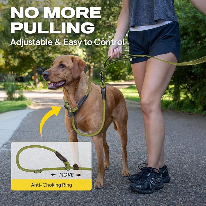 Fida 2-in-1 Slip Lead Dog Leash with 2 Handles, 6FT Training Leash, Green | No Collar Needed, Tangle Free, Soft Padded Handles, Traffic Control,Reflective Heavy Duty No Pull Leash for Medium-Large Dogs