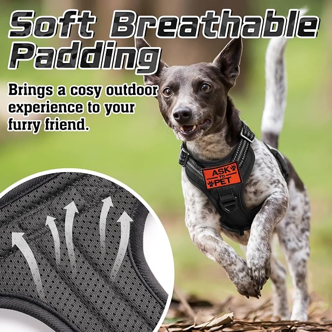 rabbitgoo Tactical Dog Harness and Leash for Large Dogs, No Pull Military Vest with Handle & Molle, Easy Control Service Dog Vest Training Walking, Adjustable Reflective Tactical Pet Harness