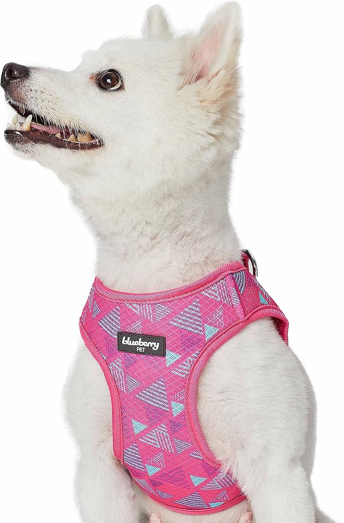 Blueberry Pet Southwestern Tribal Triangles French Pink Dog Harness Vest, XS, Adjustable Harnesses for Puppies Small Dogs
