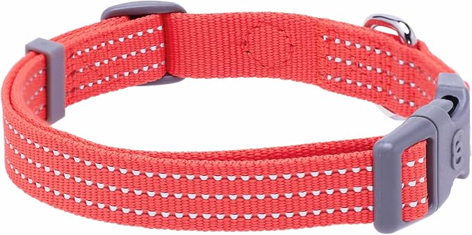 Blueberry Pet Essentials Reflective Better Basics Matching Dog Collar and Leash Set in Fiery Red, Adjustable Collar with 5 ft Leash for Small Dogs
