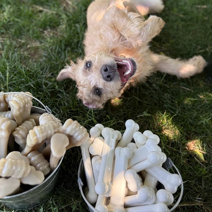 Nylabone Power Chew Original Bone Dog Chew Toy, Chicken Flavor, Medium | Durable, discourages destructive chewing, long lasting, flavor throughout, keeps dogs busy, for dogs up to 35 pounds