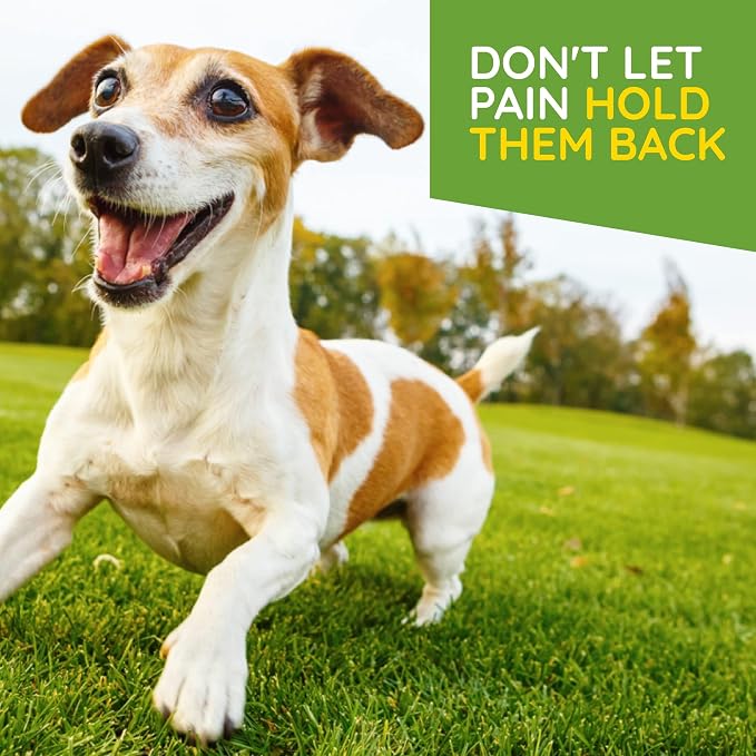 MediNatura T-Relief Pet Joint Aches Drops, Arnica +12, 1.69 oz, 2 Pack