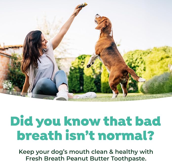 TropiClean Fresh Breath - Kong Dental Ball for Medium Dogs - Dog Teeth Cleaning Kit - Removes Plaque - Peanut Butter & Honey Dog Toothpaste, 1oz