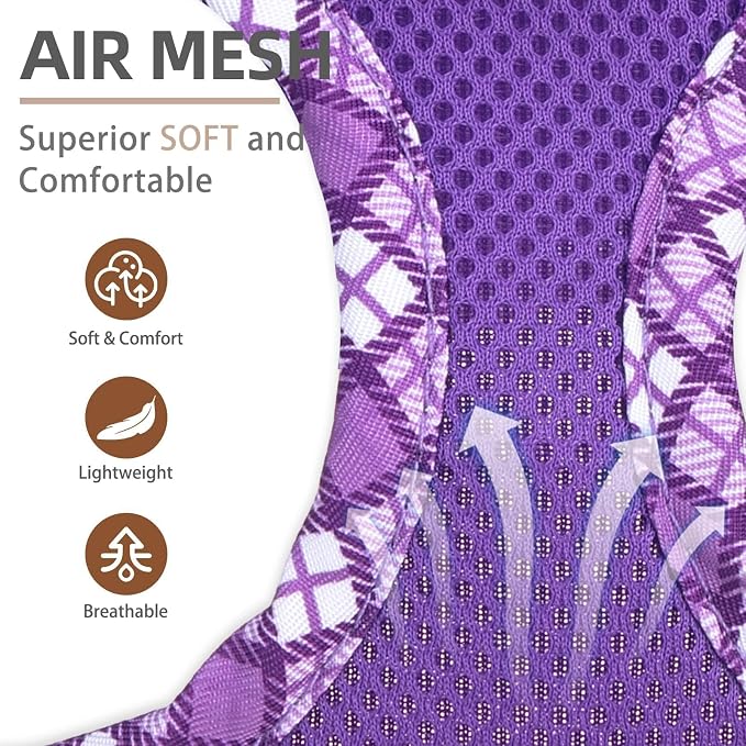 PUPTECK Dog Harness and Leash Set for Small Medium Dogs No Pull Step-in Soft Mesh Puppy Cat Vest Harnesses Reflective at Night, Purple S