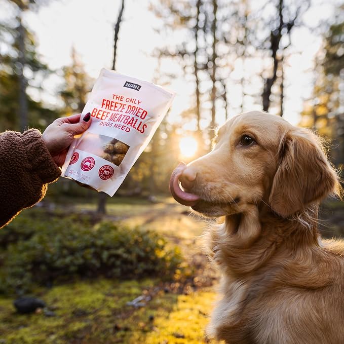 Natural Rapport Freeze-Dried Beef Meatballs, Beef & Liver, 4 oz