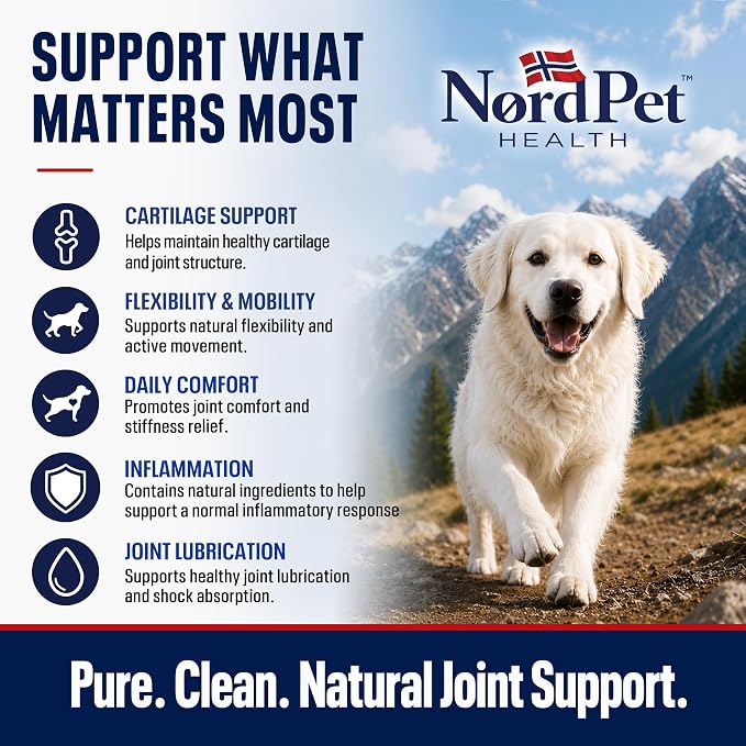 Hip & Joint Supplement for Dogs | Norwegian Salmon Oil, Glucosamine, Chondroitin, MSM, Green Lipped Mussel, Collagen | Mobility Soft Chews for Small, Medium & Large Dogs, 60 Count