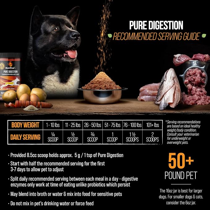 Probiotics for Dogs | Digestive Enzymes and Probiotics Powder | Beef Liver Flavor | Pumpkin, Turmeric and Prebiotic FOS | Gut Health Food Topper for Dogs and Cats | 16oz