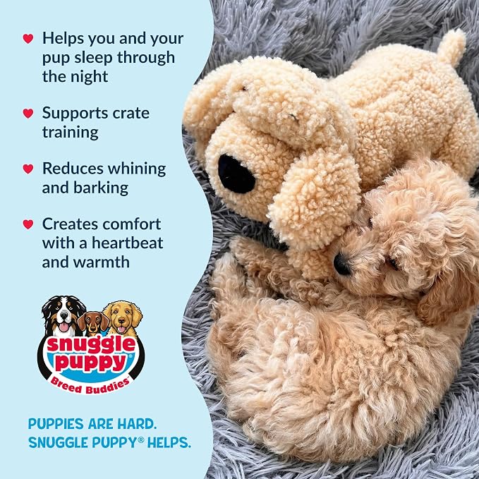 Snuggle Puppy Heartbeat Toy, Calming Comfort, Breed Buddies Goldendoodle | Calming for Goldendoodles and Poodle mixes; crate training comfort, heat pack, new puppy essentials, first nights