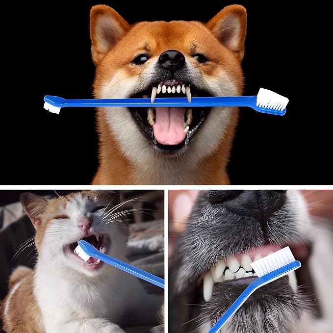 Bexter Dog Toothbrush Set of 10 – Dual Headed Soft Bristle Pet Tooth Brushes for Dental Hygiene, Teeth Cleaning for Small to Large Dogs, Cats & Most Pets, Bulk Pack
