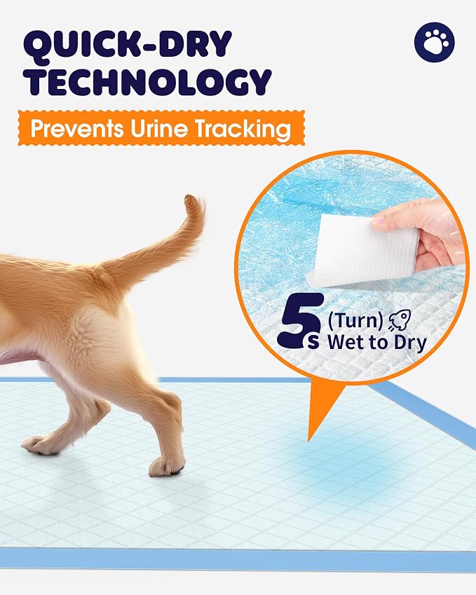 Powools Puppy Pads - Super Absorbent & Spill-Proof Pee Pads for Dogs with 6-Layer Material, Quick-Dry & Hassle-Free Potty Pads for Floors, Furniture, Vehicle, 22" × 22", 100 Packs