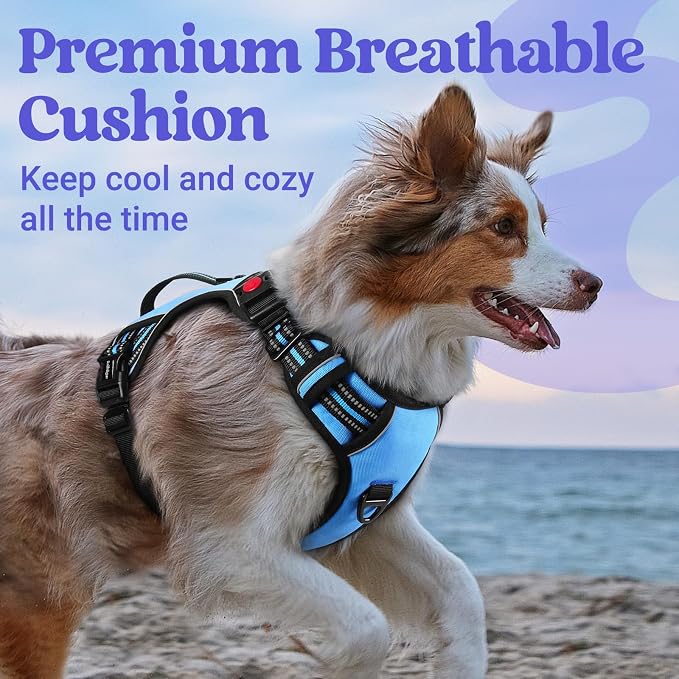 rabbitgoo Large Dog Harness, Easy Wear with 3 Buckles and Lift Handle | No Pull with Front Clip for Walking, Adjustable Soft Padded, Reflective, Easy Control, Light Blue, Small